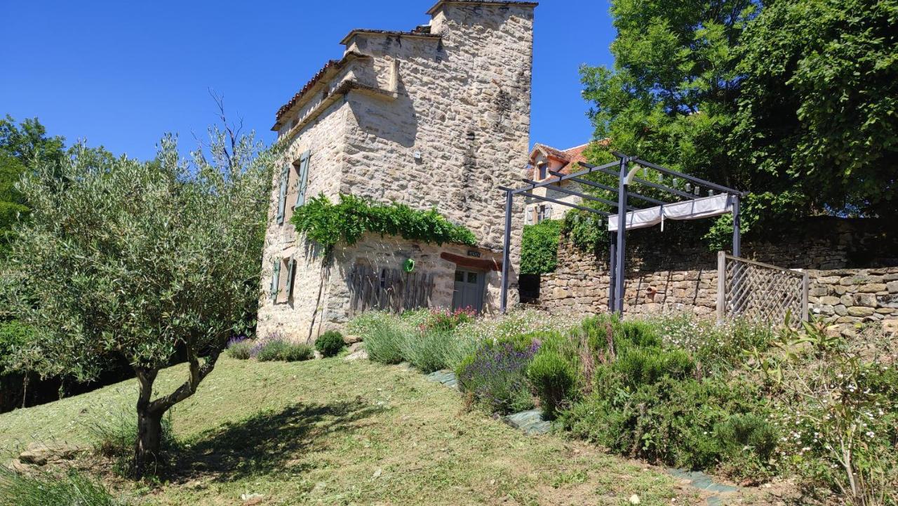 Le Pigeonnier De Felines Villa Caylus Buitenkant foto