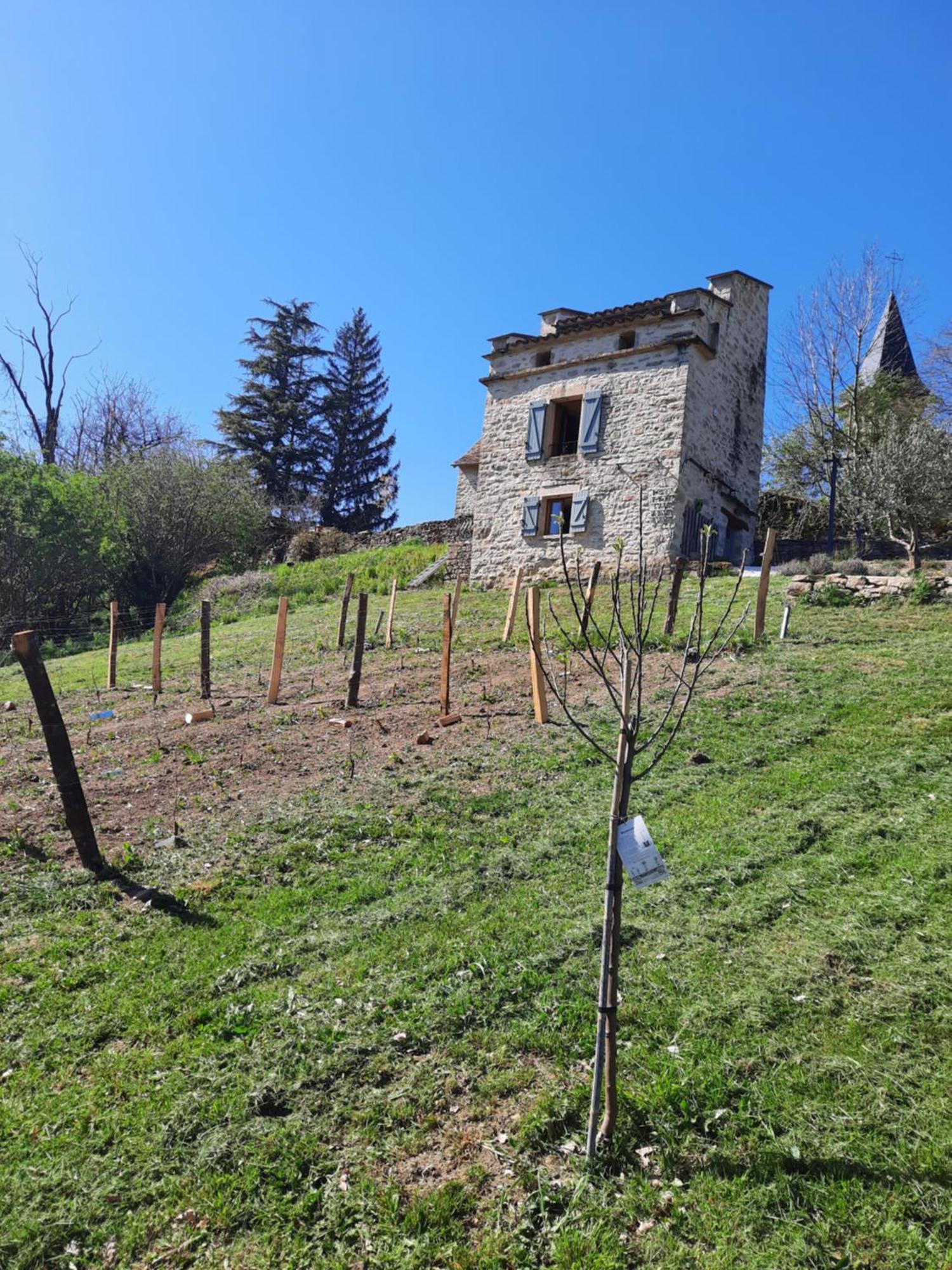 Le Pigeonnier De Felines Villa Caylus Kamer foto